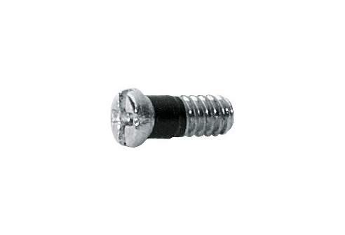 Kruiskop/gleuf-schroef zilver Ø 1,4 lengte 3,9 mm