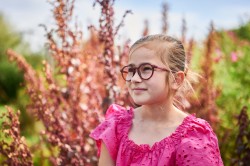 Billie Duo Styles berry havana/blackberry, maat 42