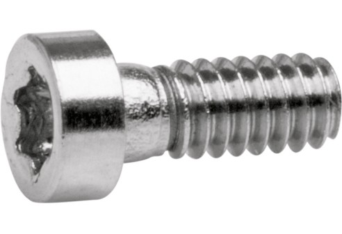 Torx 3 schroef zilver Ø 1,2 lengte 3,9 mm