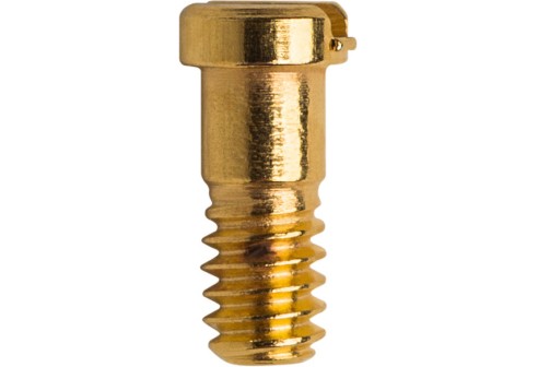 Gleufschroef goud Ø 1,2 lengte 3,2 mm