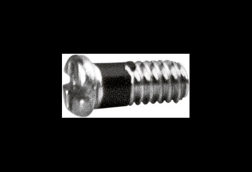 Kruiskop/gleuf-schroef zilver Ø 1,4 lengte 3,7 mm