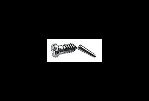Gleufschroef zilver Ø 1,6 lengte 3,5/6,5 mm