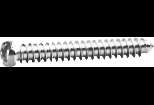 Kruiskop/gleuf-schroef zilver Ø 1,6 lengte 10,8 mm