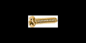 Kruiskopschroef goud Ø 1,0 lengte 3,8 mm