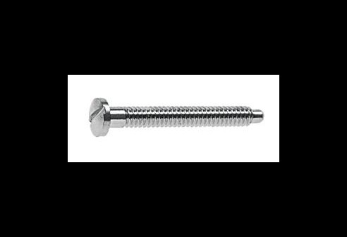 Gleufschroef zilver Ø 1,2 lengte 12 mm