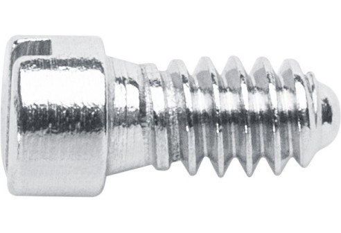 Gleufschroef zilver Ø 1,3 lengte 3,5 mm