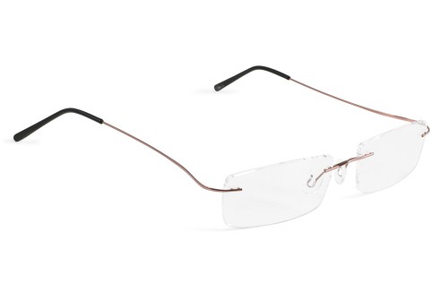 Glasbril van Beta-titanium met Monoblockveren, bruin