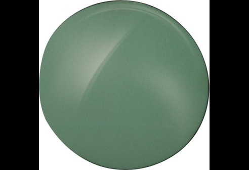 CR39 donker grijsgroen curve 8 dikte 1,8 mm