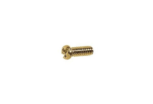 Kruiskopschroef goud Ø 1,4 lengte 4,3 mm