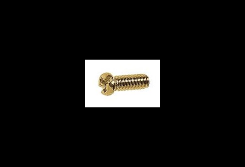 Kruiskopschroef goud Ø 1,4 lengte 4,3 mm