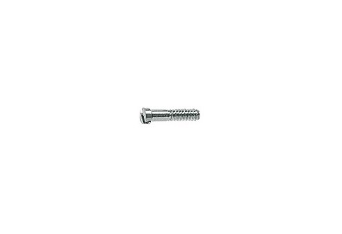 Gleufschroef zilver Ø 0,8 lengte 3,7 mm