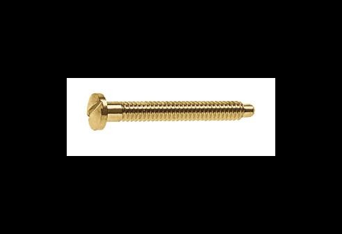 Gleufschroef goud Ø 1,4 lengte 12 mm