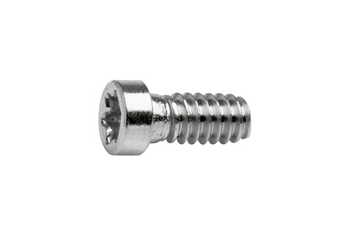 Torx 4 schroef zilver Ø 1,4 lengte 3,9 mm