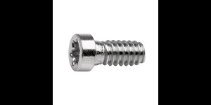 Torx 4 schroef zilver Ø 1,4 lengte 3,9 mm