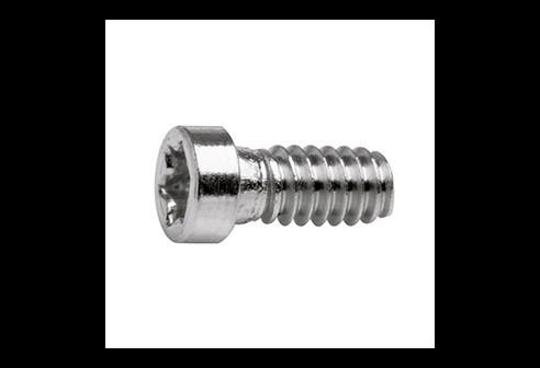 Torx 4 schroef zilver Ø 1,4 lengte 3,9 mm