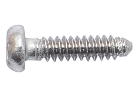 Torx 2 schroef zilver Ø 1,0 lengte 4,5 mm