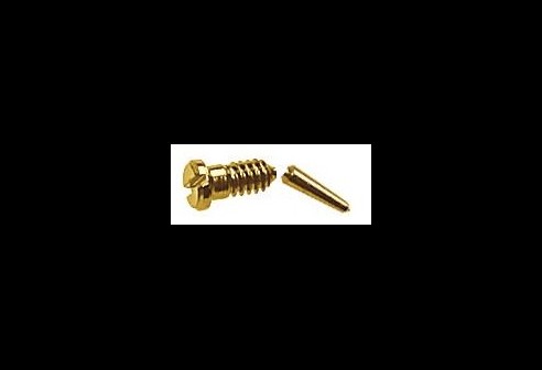 Gleufschroef goud Ø 1,6 lengte 3,5/6,5 mm