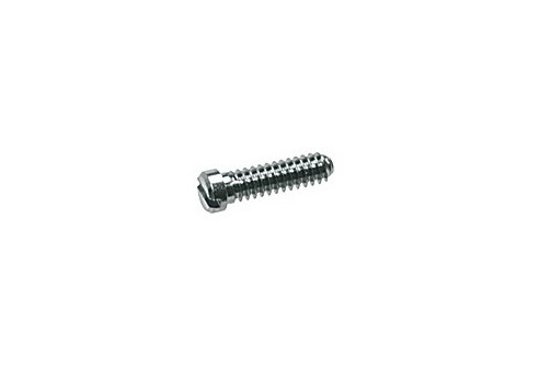 Gleufschroef zilver Ø 1,3 lengte 5,3 mm