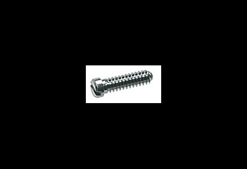 Gleufschroef zilver Ø 1,3 lengte 5,3 mm