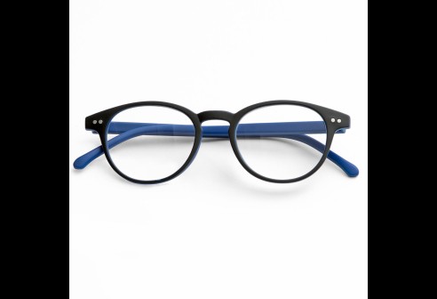 Leesbril kunststof grijs/blauw 