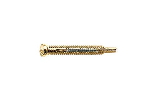 Gleufschroef goud Ø 1,5 lengte 11,5 mm