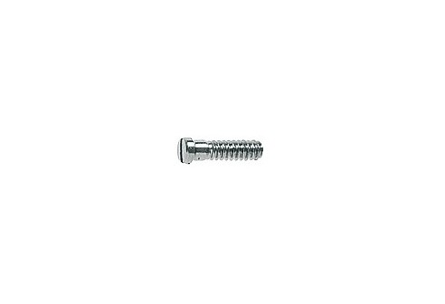 Gleufschroef zilver Ø 1,0 lengte 4,0 mm