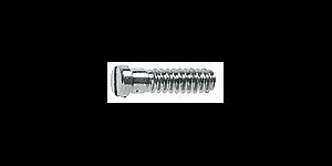 Gleufschroef zilver Ø 1,0 lengte 4,0 mm