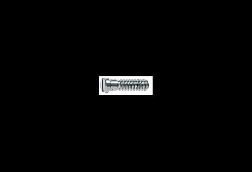 Gleufschroef zilver Ø 1,0 lengte 4,0 mm