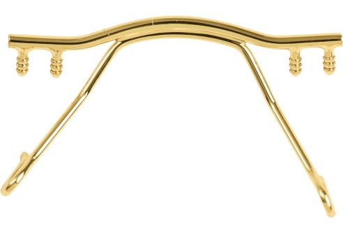 Brug voor glasbrillen goud