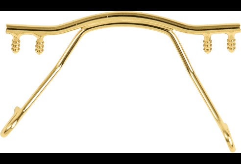 Brug voor glasbrillen goud