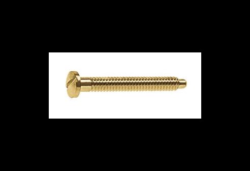 Gleufschroef goud Ø 1,2 lengte 12 mm