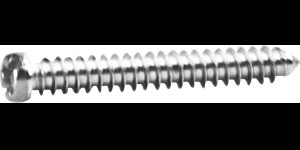 Kruiskop/gleuf-schroef zilver Ø 1,4 lengte 10,8 mm