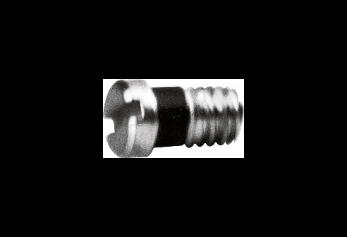 Gleufschroef zilver Ø 1,4 lengte 2,8 mm
